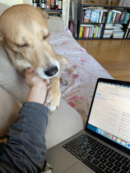 Lo smart working dei nostri collaboratori
