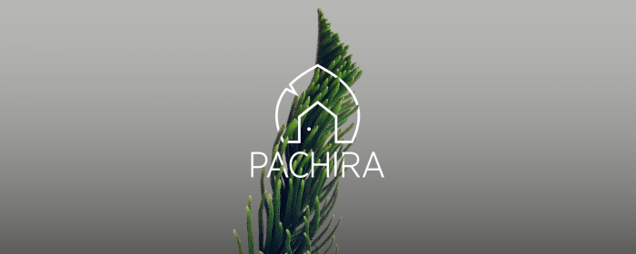 Pachira diventa società benefit
