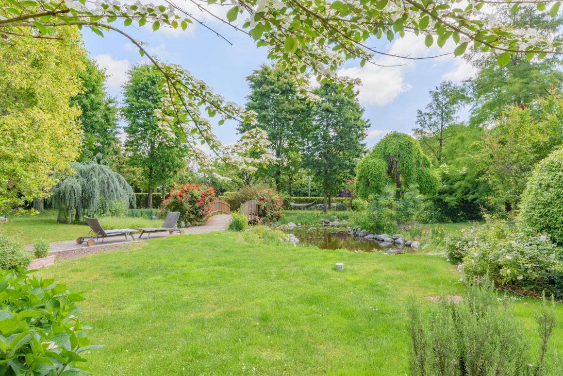 Il grande e rigoglioso giardino della Location Felce