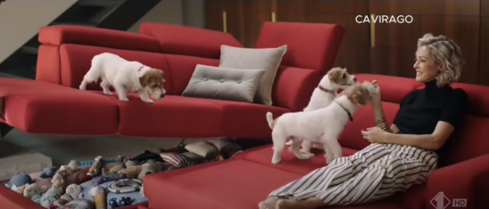 I Jack Russel di Poltrone Sofa