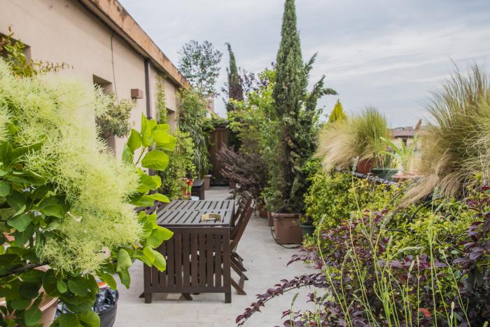 Piante di ogni tipo e tavolino in terrazza