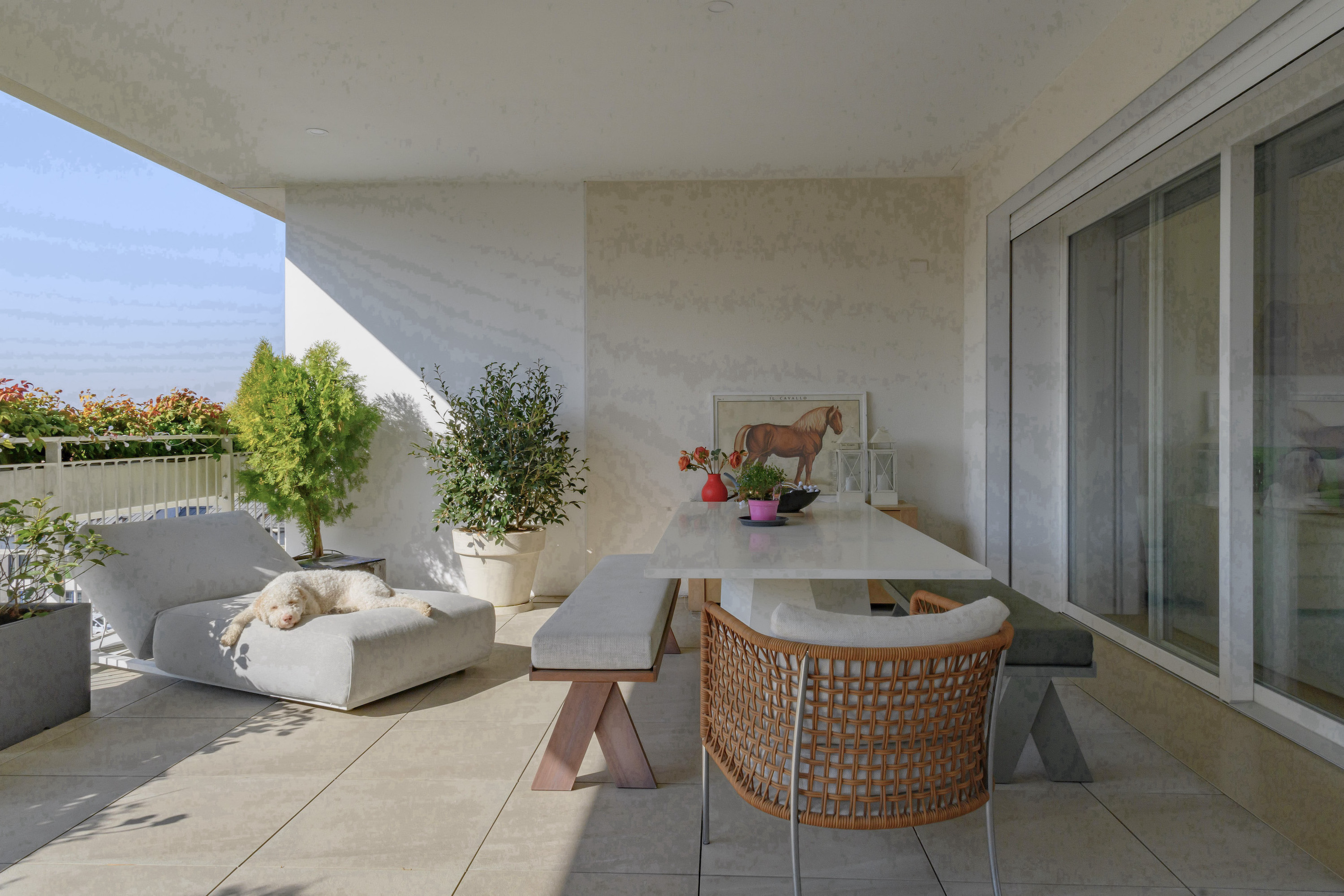 La terrazza della Location Wax Flower