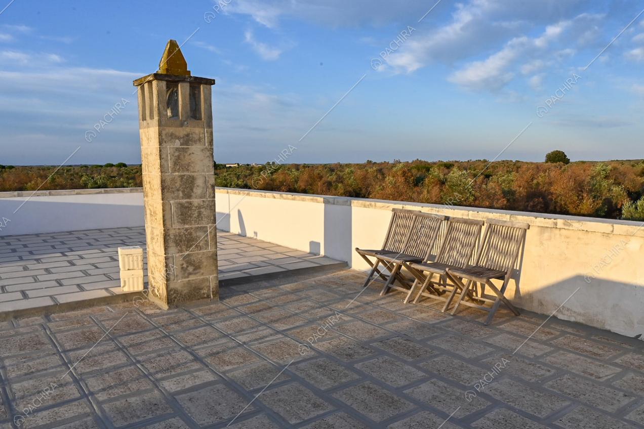 Tetto della villa, con vista panoramica sugli ulivi, usato come terrazza