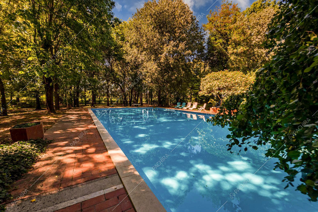 Grande piscina nel giardino della location pieno di alberi