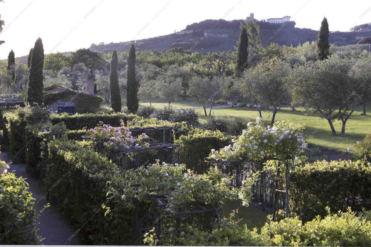 Location Serenella villa provincia di Pistoia 28