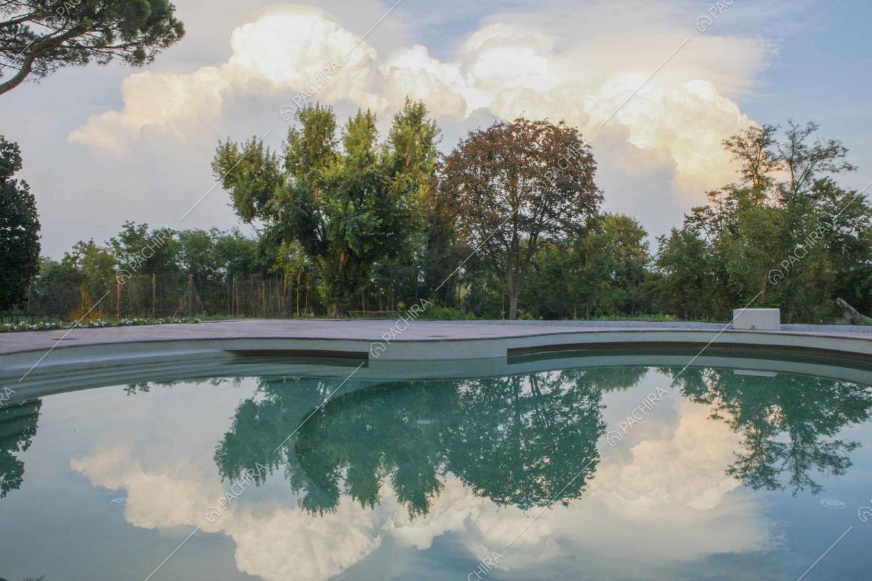 Splendida piscina con vista sul parco