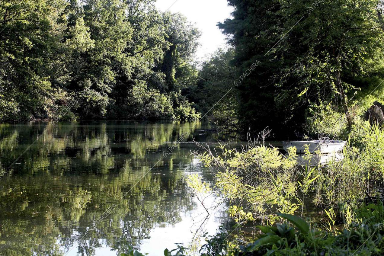 Laghetto della villa circondato dal verde