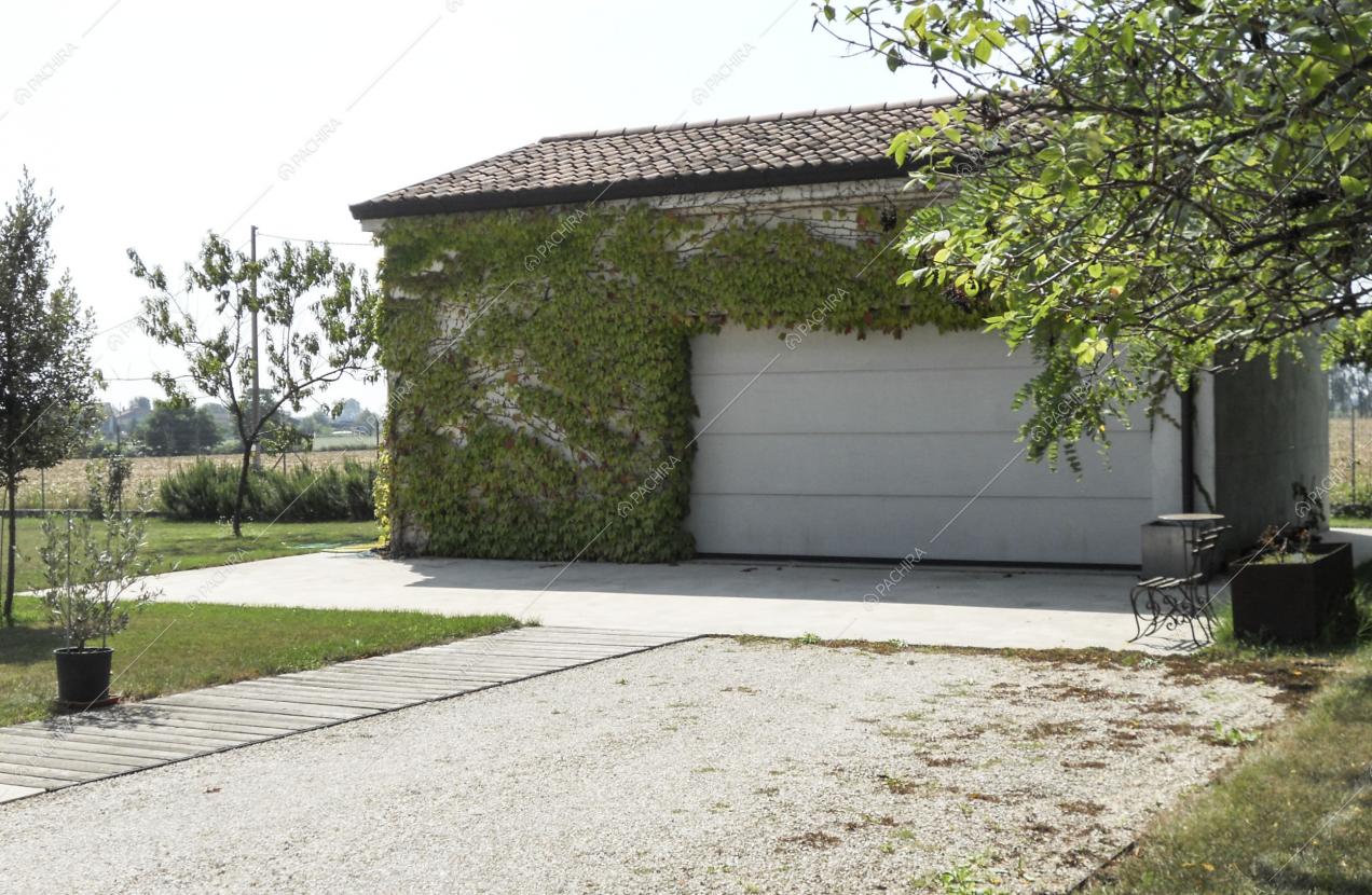Capanno bianco con rampicanti