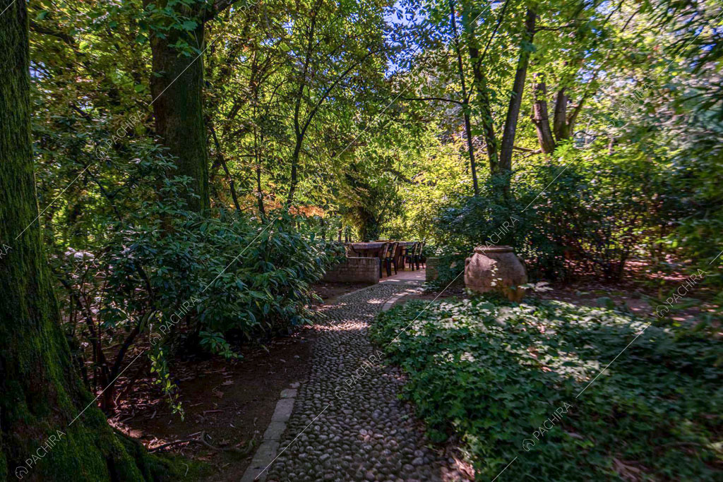 Vialetto in ciottolato nel grande giardino