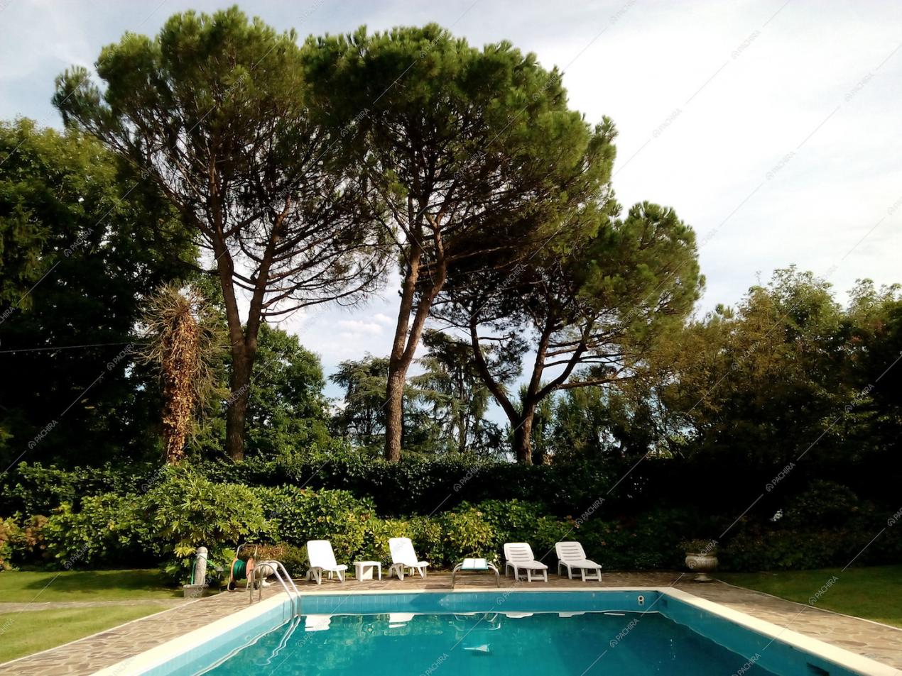Zona piscina con pini marittimi
