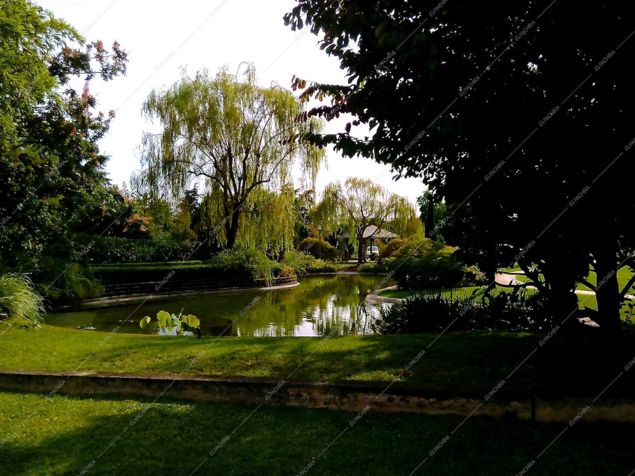 Suggestiva visuale sul laghetto e sul parco 