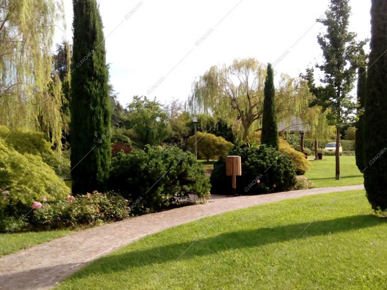 Vialetto di ingresso al giardino con cipressi e siepi