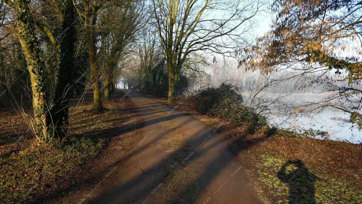 Vialetto alberato con vista lago