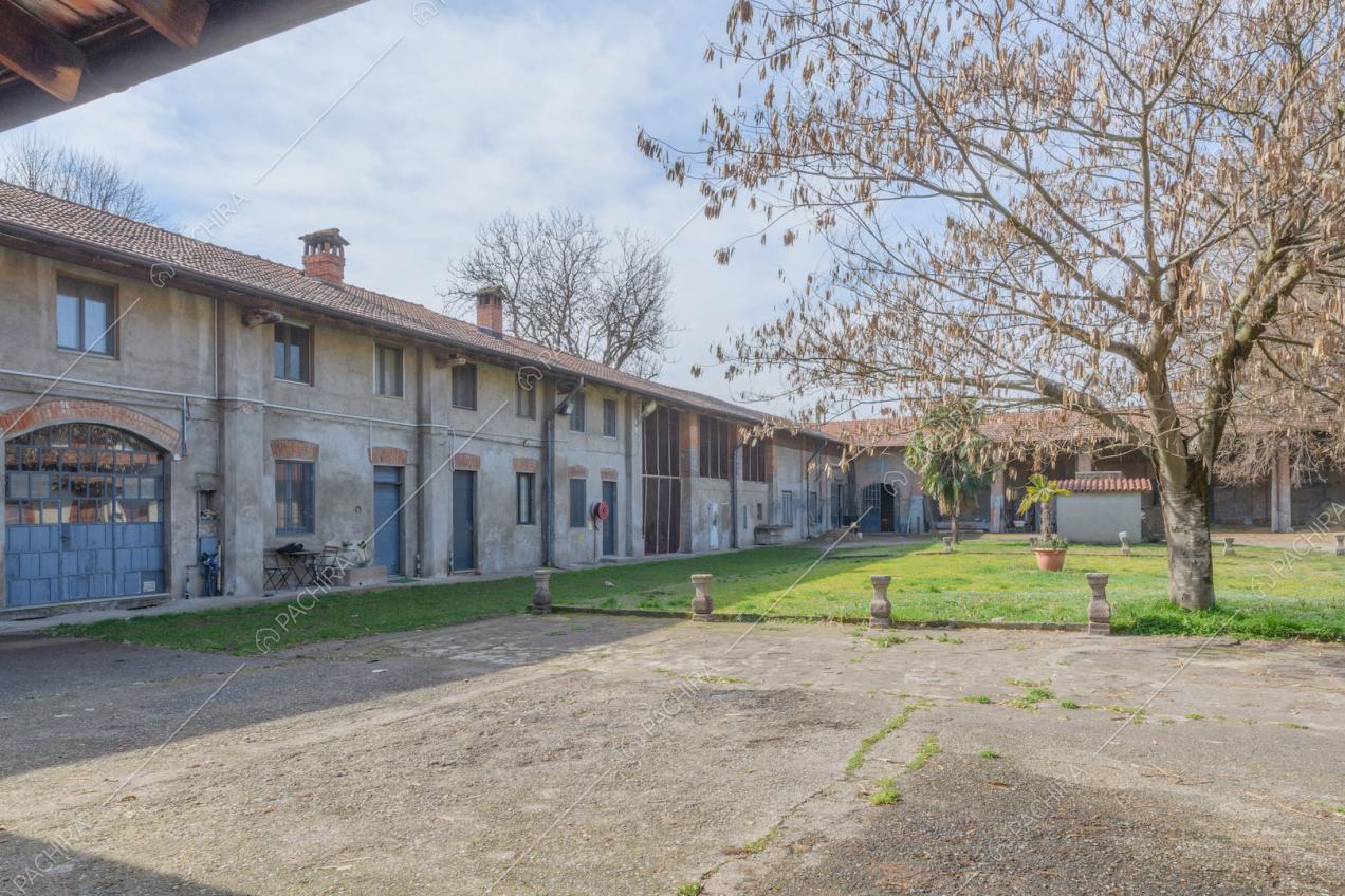 Cortile della location con grande albero, esterni grigi e porta a vetri