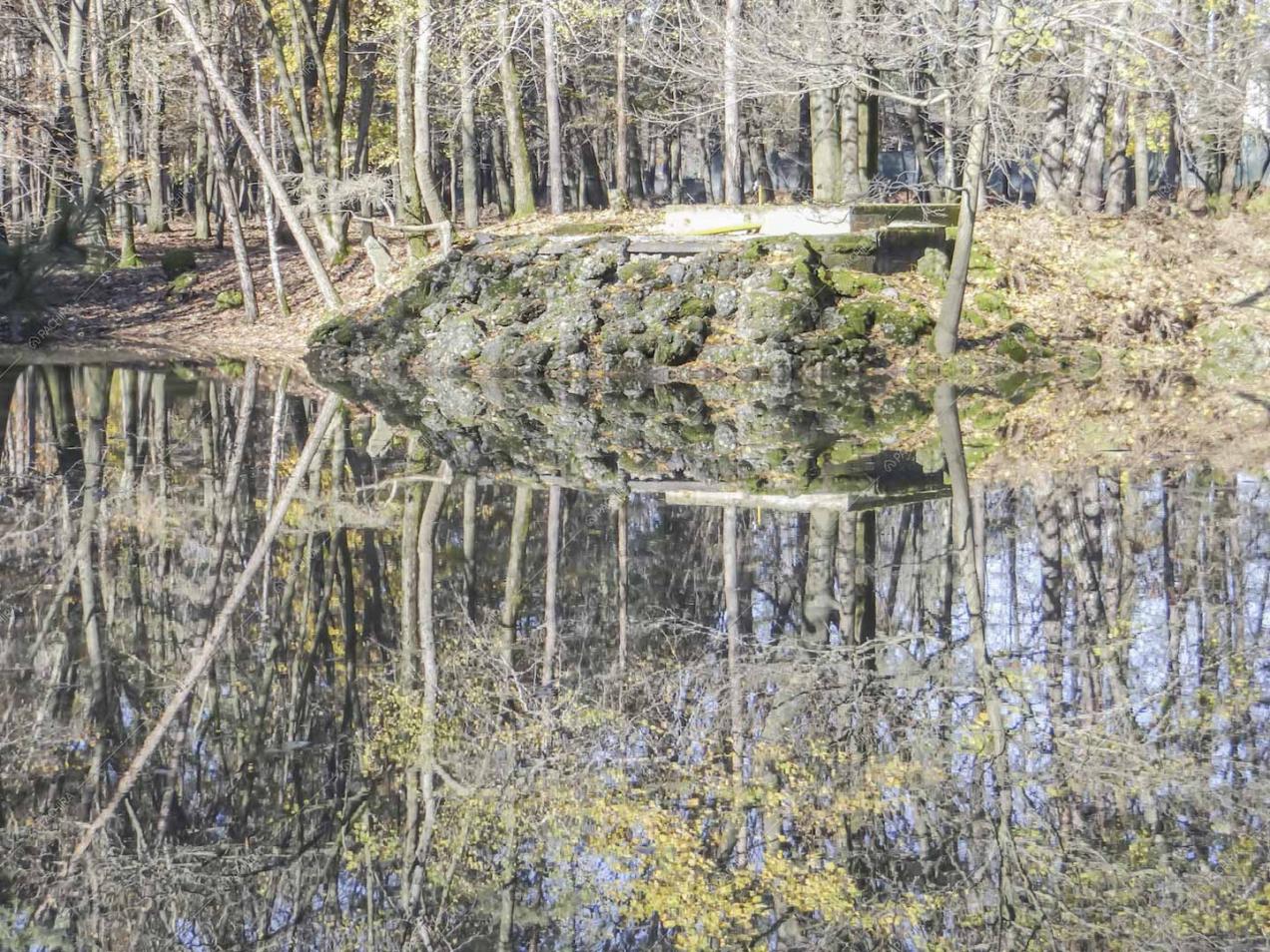 Stagno nascosto nell'immenso parco della location Potus