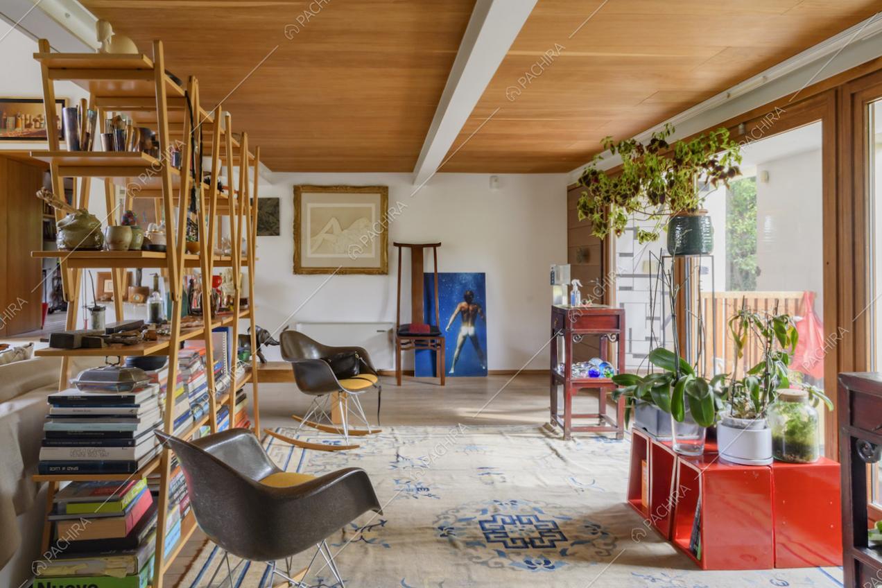 Sedie di design nere, libreria, tappeto e piante in vaso