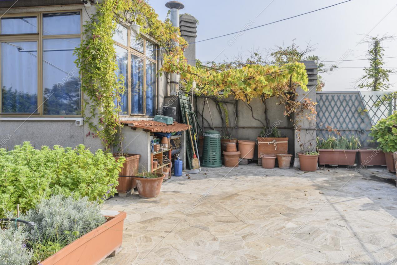 Veranda sulla terrazza con piante rampicanti e vasi in terracotta