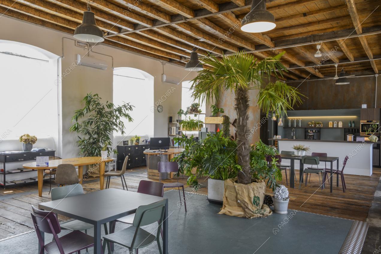 Tavoli in stili diversi e palme all'interno della location