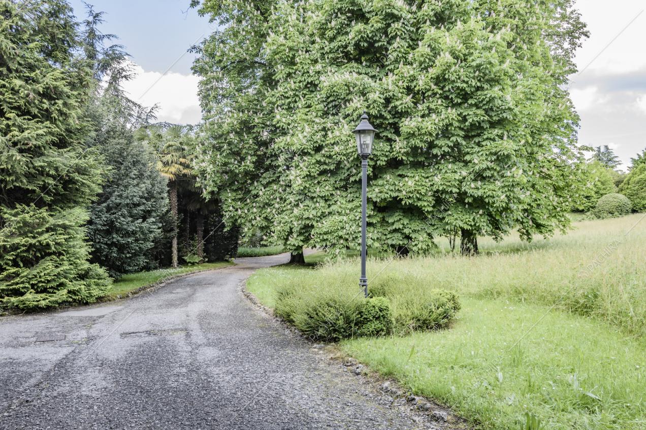 Parco che circonda la Location Frumento