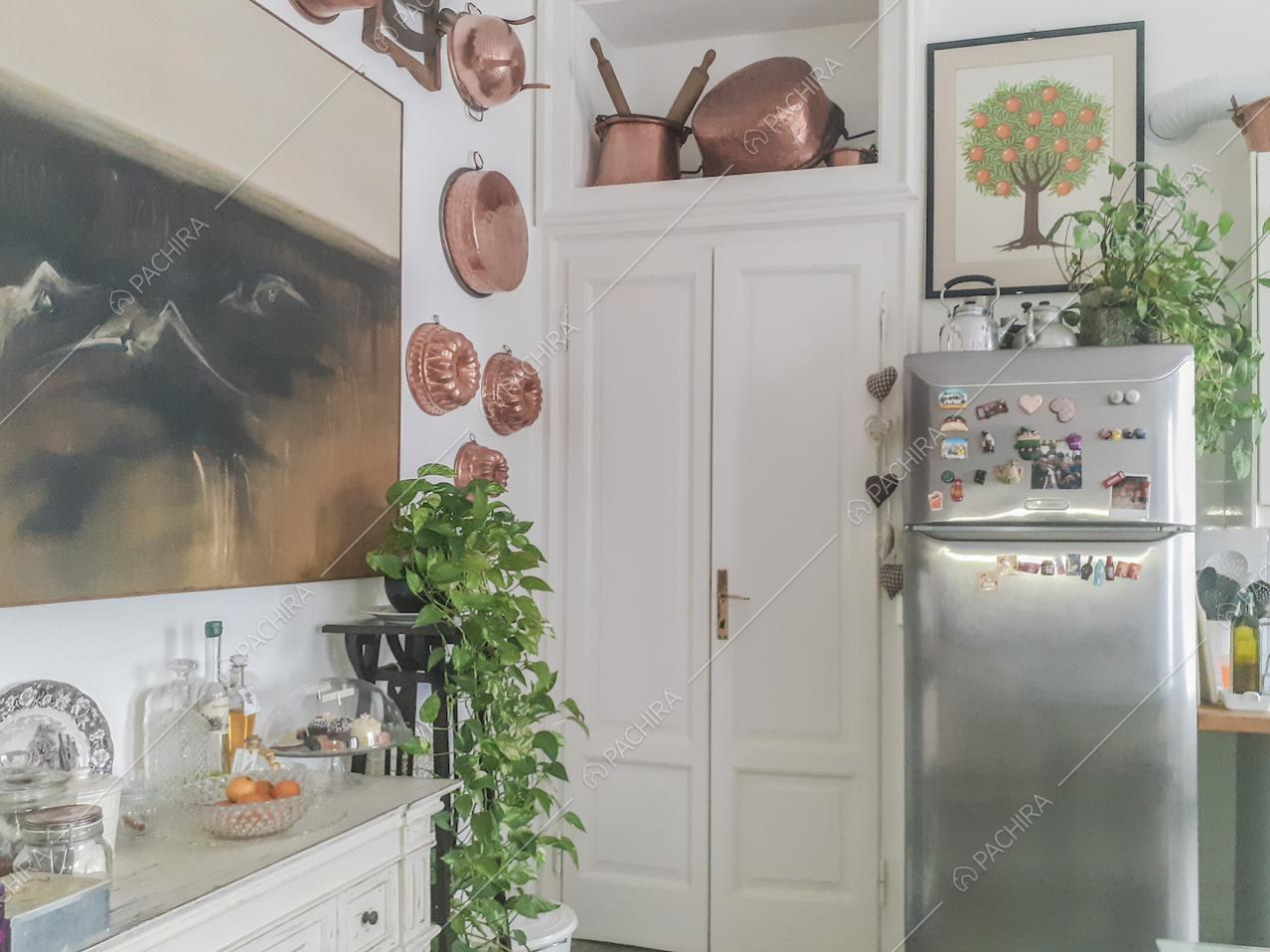Piante a cascata in cucina, frigorifero e pentole in rame