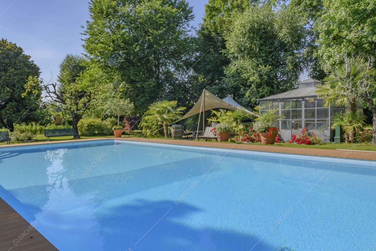 Grande piscina circondata da piante in vaso, alberi e fiori