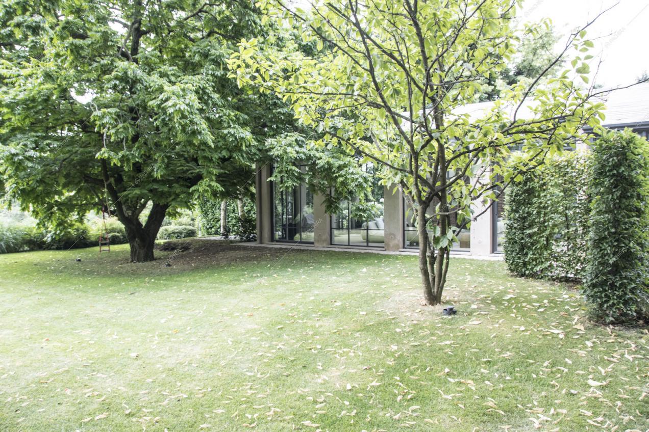 Alberi nel parco che circonda la villa