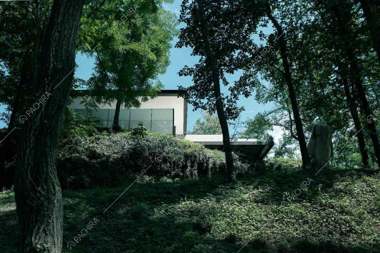 Vista della villa dal boschetto