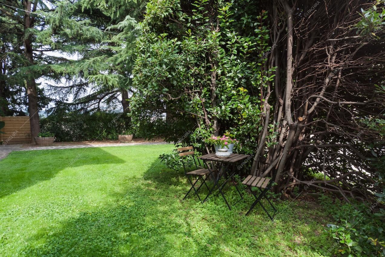 Location Pomelo cascina provincia Verona 21