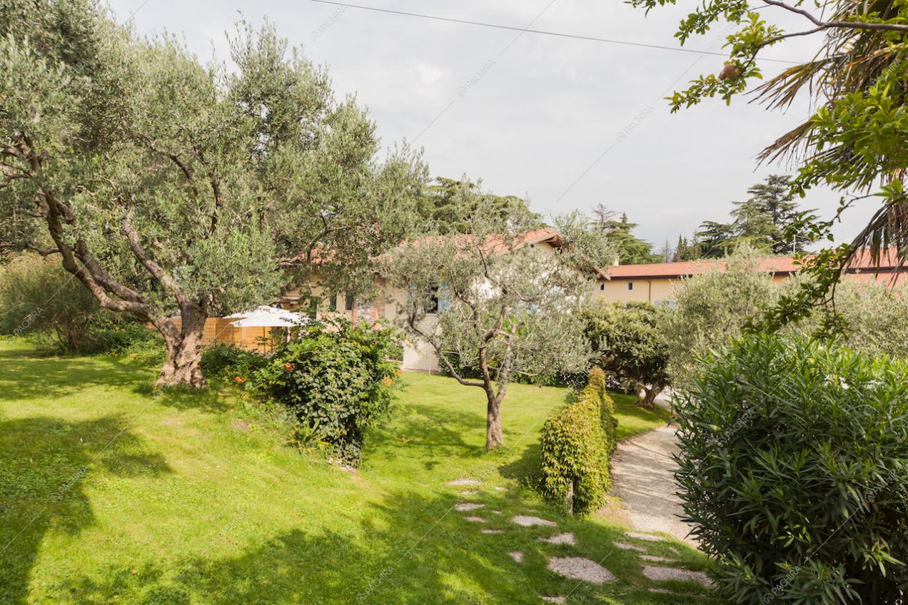 Location Pomelo cascina provincia Verona 10