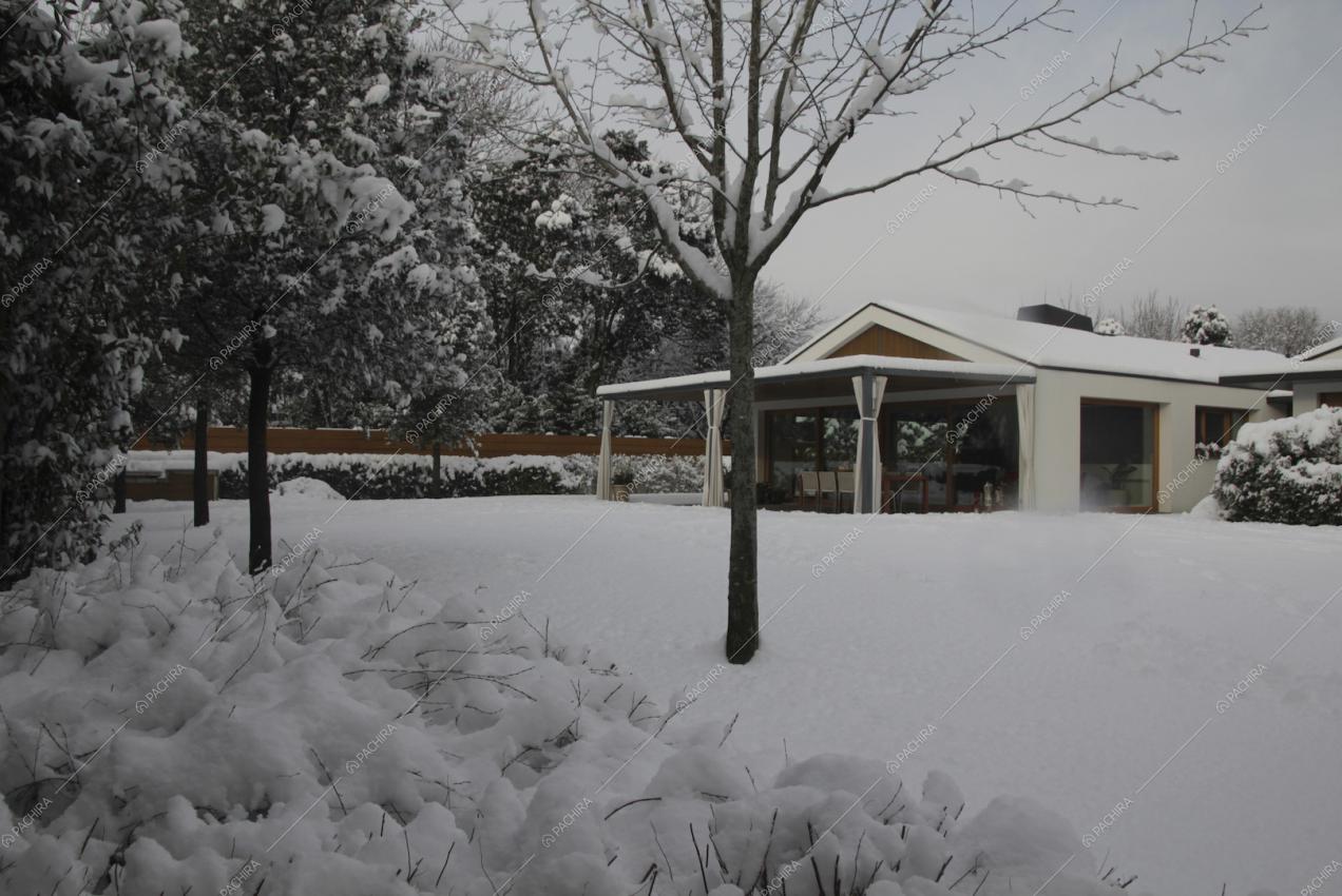 La Location Fatsia ricoperta di neve