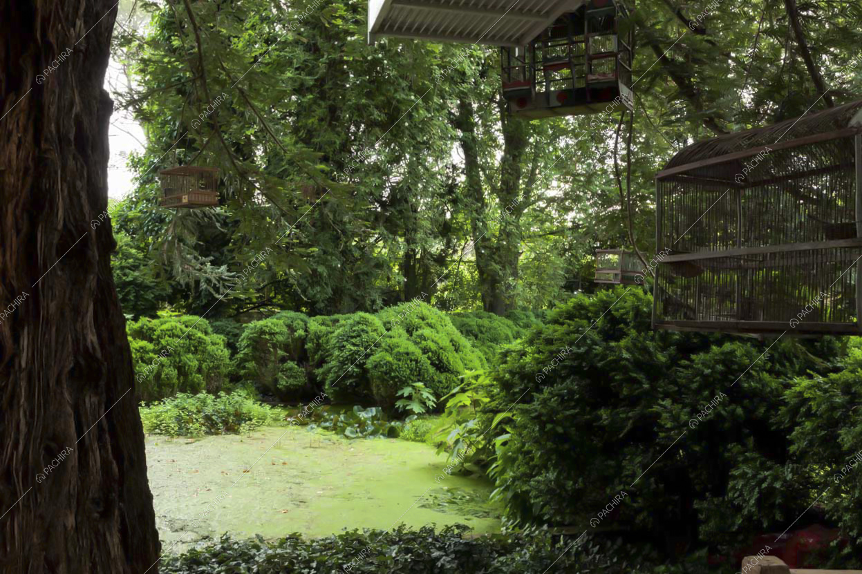 Il giardino rigoglioso della Location Bananito 