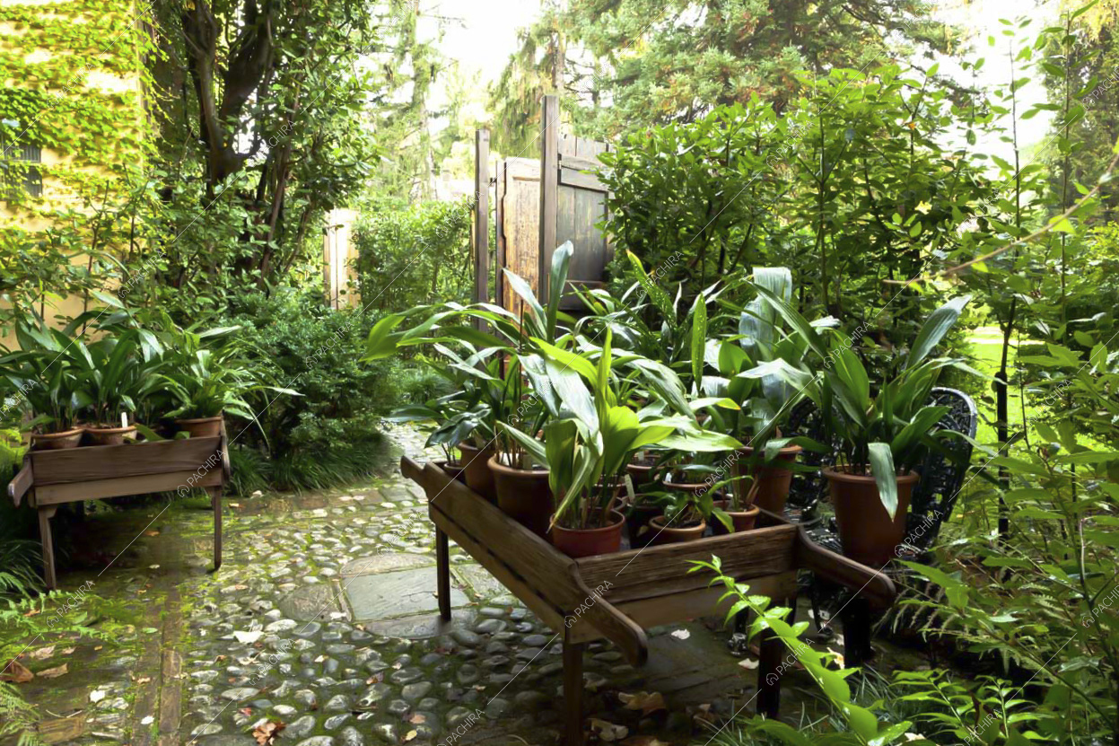 Il rigoglioso giardino della Villa in Provincia di Udine