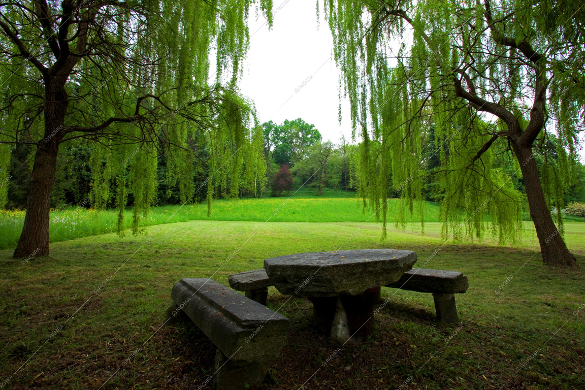 Location Nelumbo dimora storica provincia di Varese 8