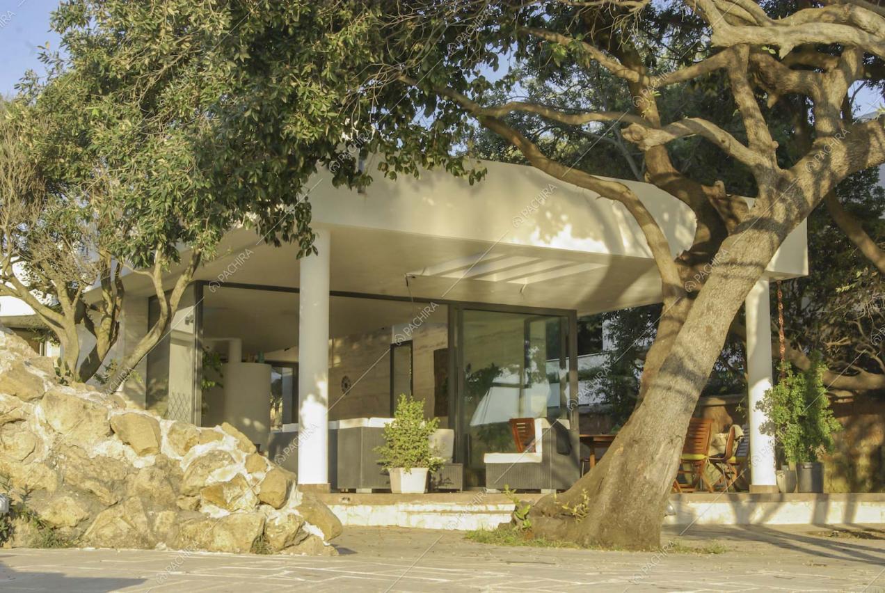 Raperonzolo villa provincia di Roma 5