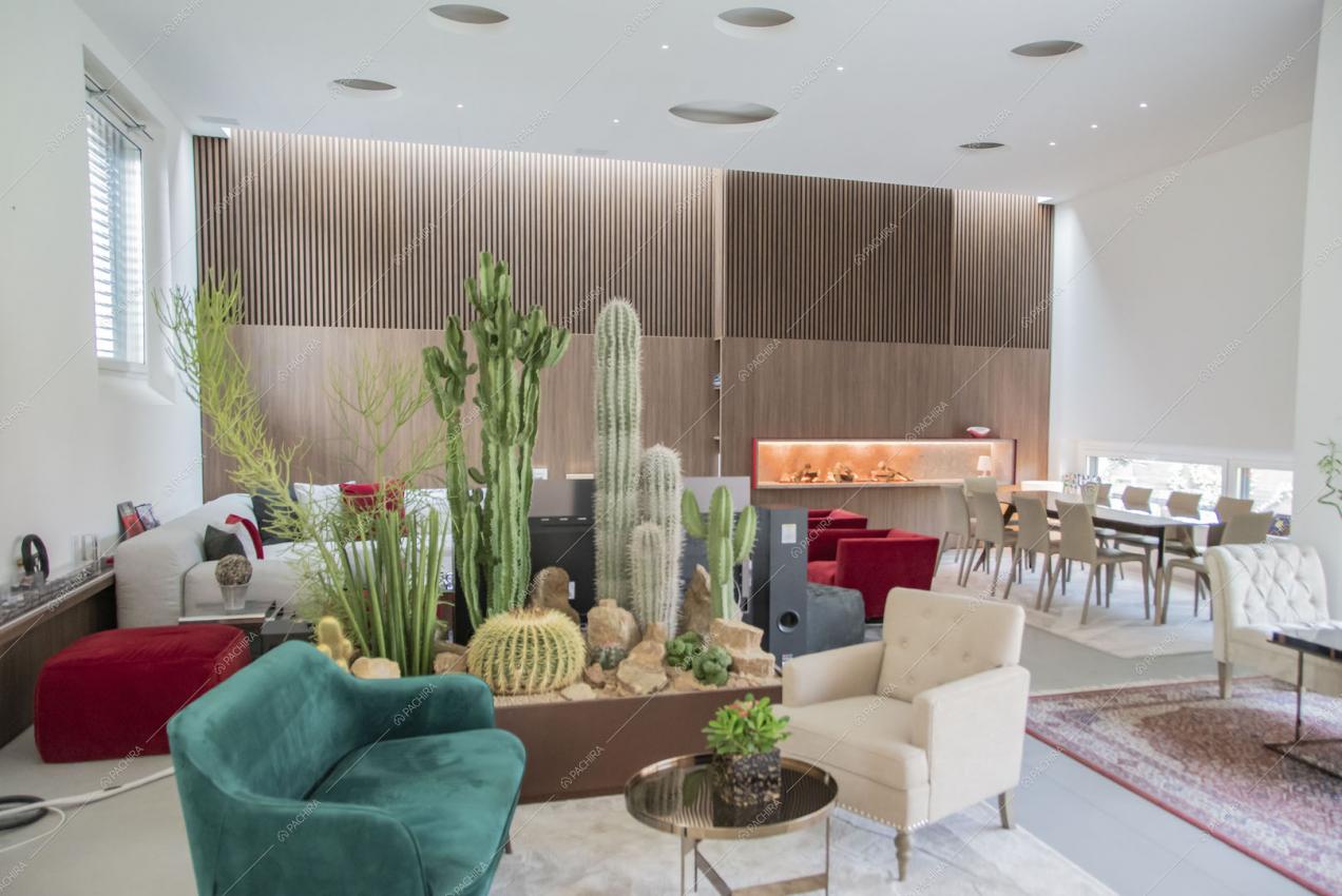 Poltrone nella luminosa sala con cactus nella fioriera da interno e parete in legno