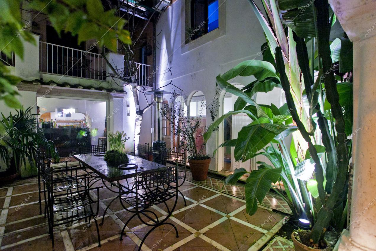 Tavolo da pranzo in giardino con piante