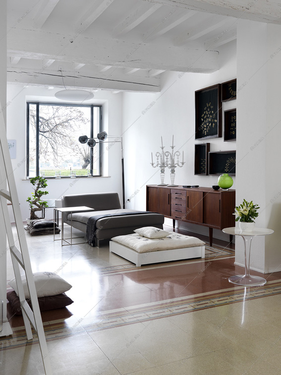 Location Tillanzia appartamento Parma 6