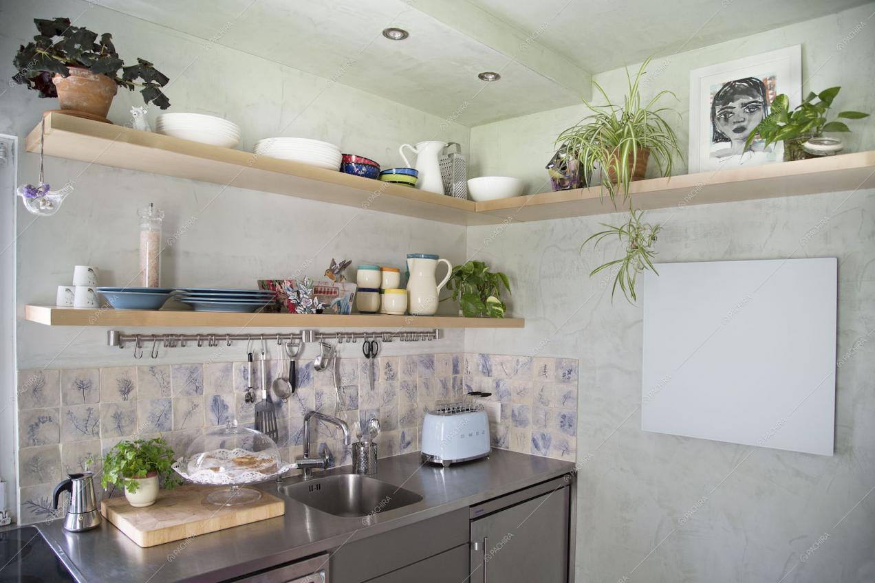 Cucina in acciaio a parete con ripiani in legno con piante