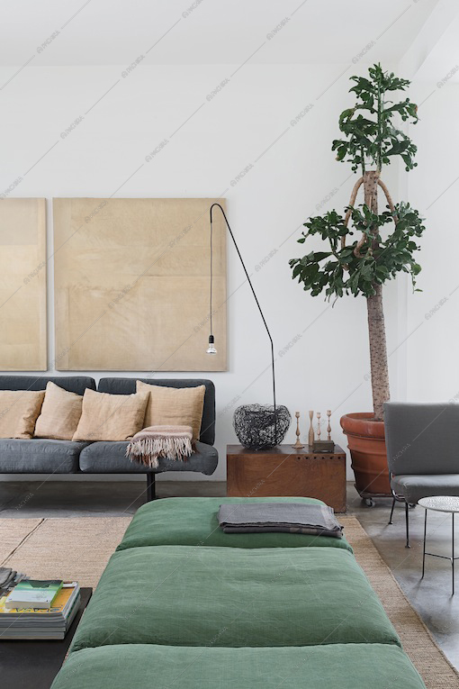 Divani e piante nel living della Location Wakame