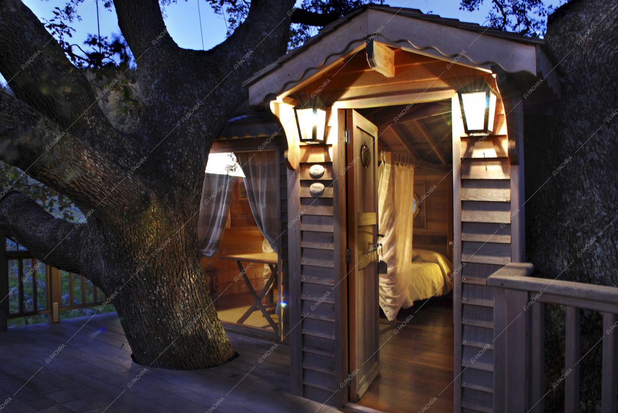 Ingresso della casa sull'albero