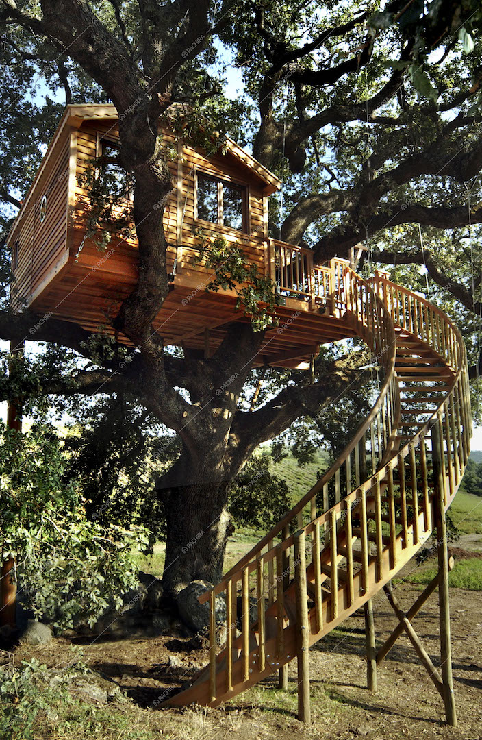 Scala in legno per salire sulla casetta sull'albero