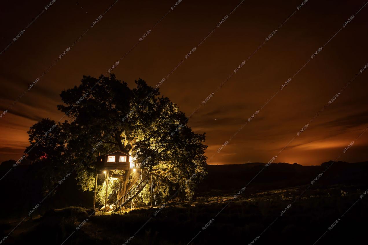 Casa sull'albero illuminata di notte