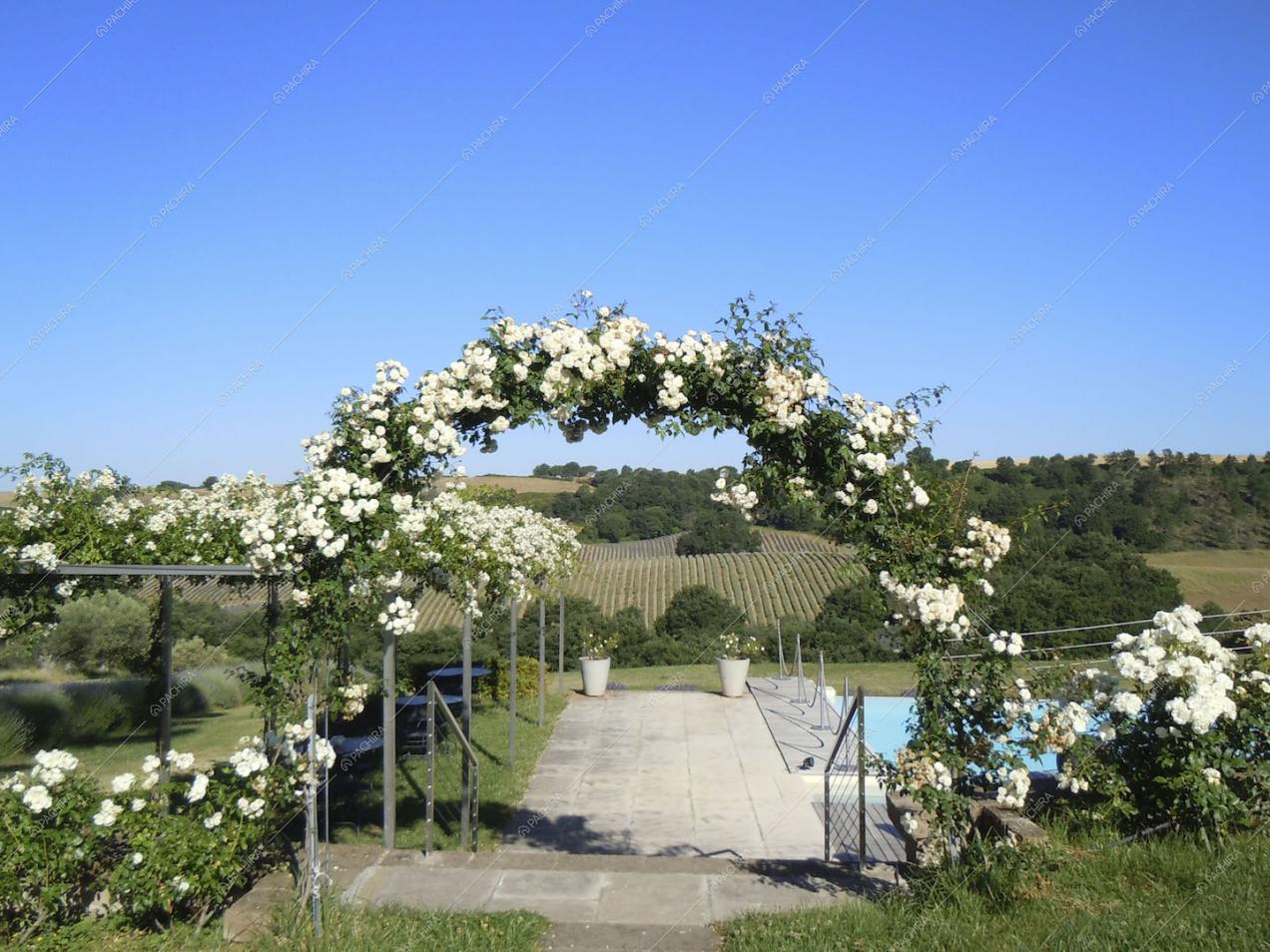 Accesso alla piscina con arco