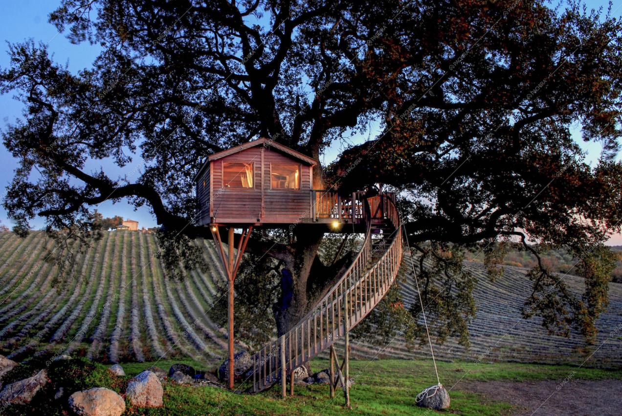 Casa sull'albero e collina