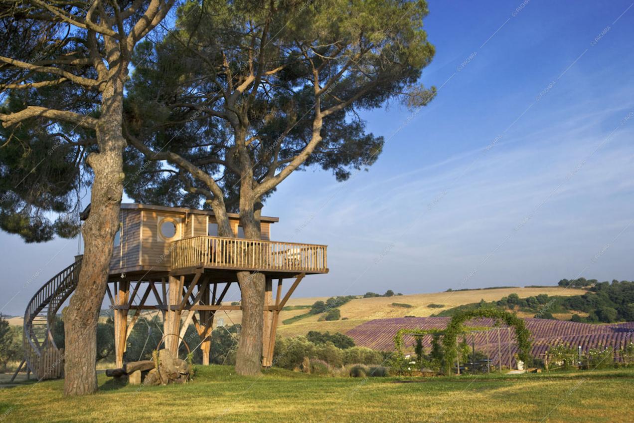 Location Helxine villa provincia di Viterbo 1