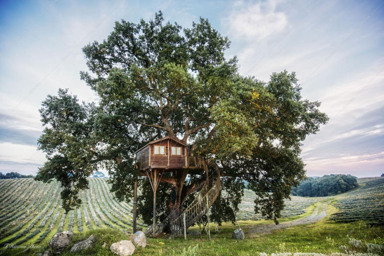 Vista sulla casa sull'albero