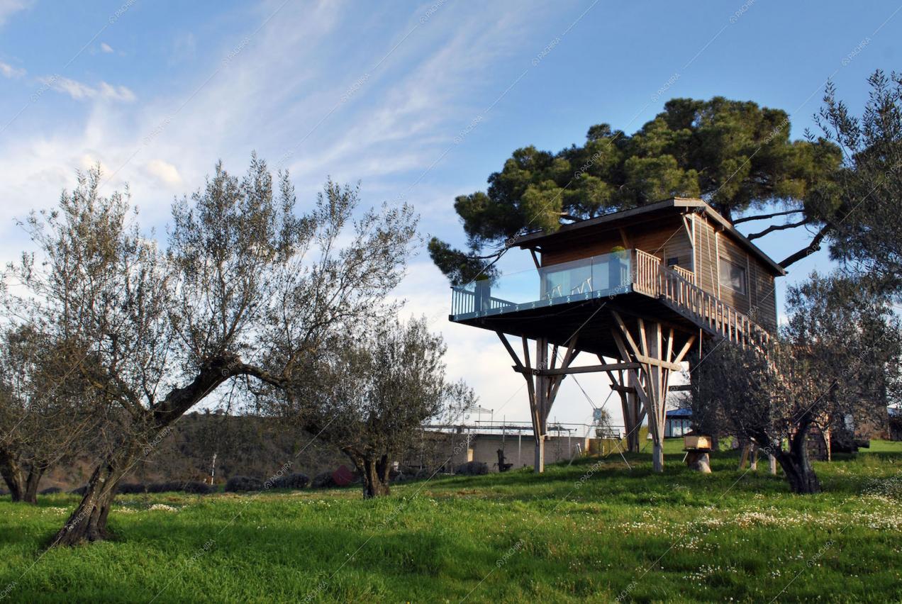 Giardino e casa sull'albero con terrazza