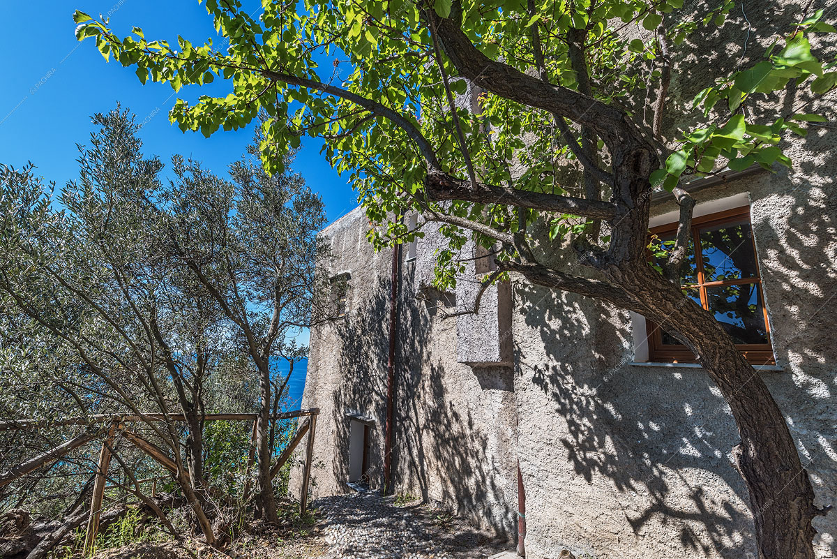 Location Sorbaria villa provincia di Savona 22