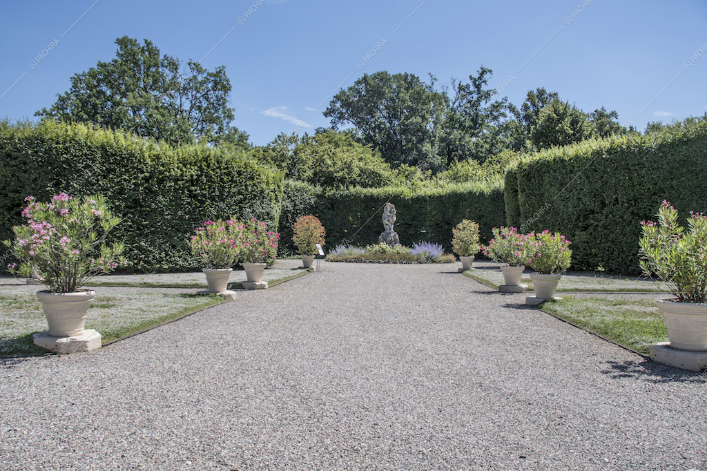Il giardino e le siepi della Location Olmo