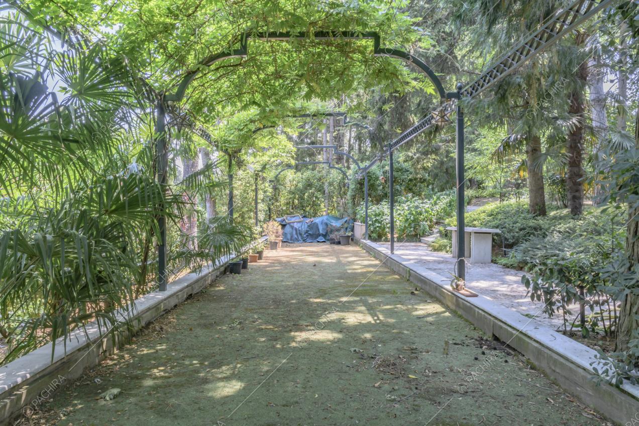 Corridoio circondato da piante in un gazebo